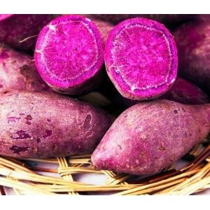 紫薯是不是转基因食品？央视新闻明确回答你